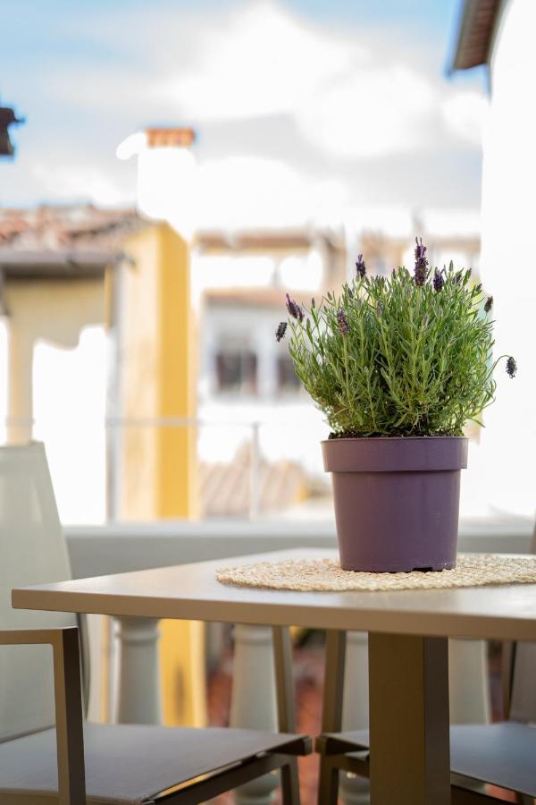 Olive Loft Apartment Florence Exterior photo